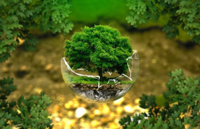 Ecologia profonda e decrescita